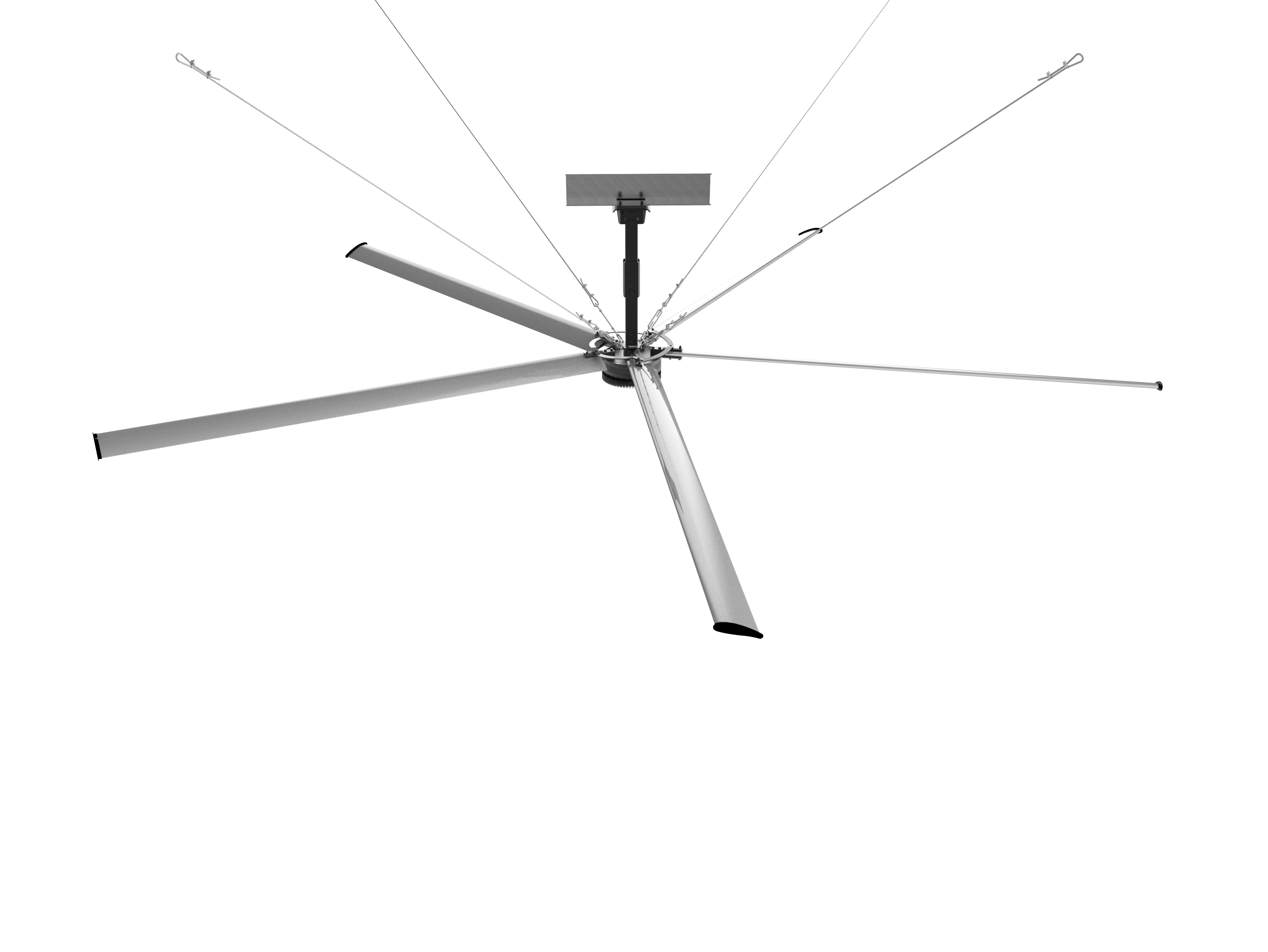 External image